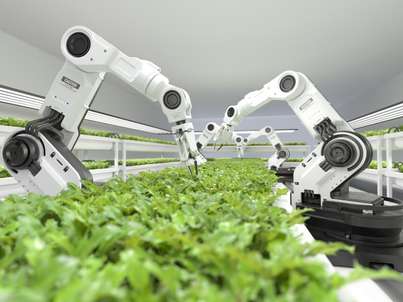 Robot trồng rau đưa cuộc sống viễn tưởng vào đời thực