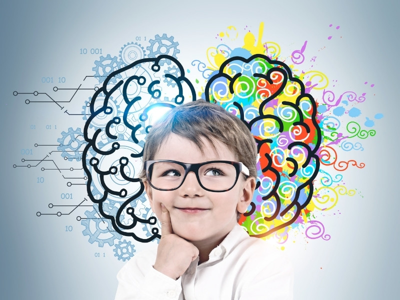 Tư duy Não trái - Tư duy Não phải trong sự phát triển của trẻ